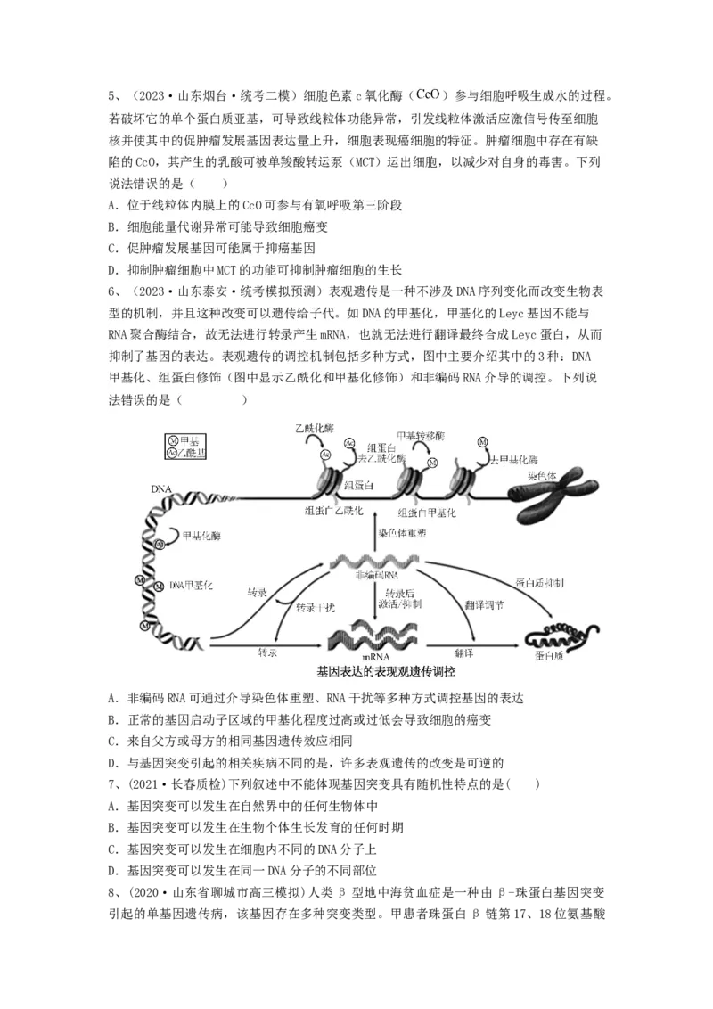 专题20基因突变和基因重组（精练）（原卷版）_新高考复习资料_2024年新高考复习资料_一轮复习资料_完备战2024年高考生物一轮复习串讲精练（新高考专用）_精练