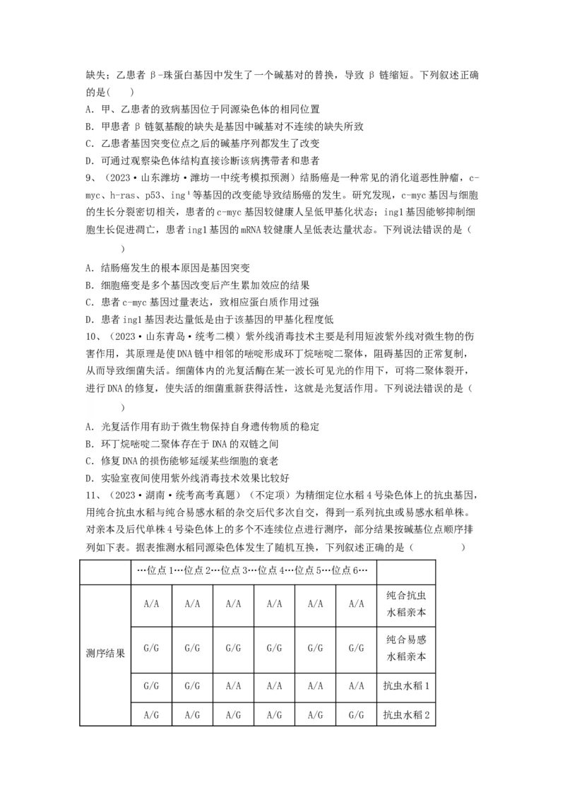 专题20基因突变和基因重组（精练）（原卷版）_新高考复习资料_2024年新高考复习资料_一轮复习资料_完备战2024年高考生物一轮复习串讲精练（新高考专用）_精练