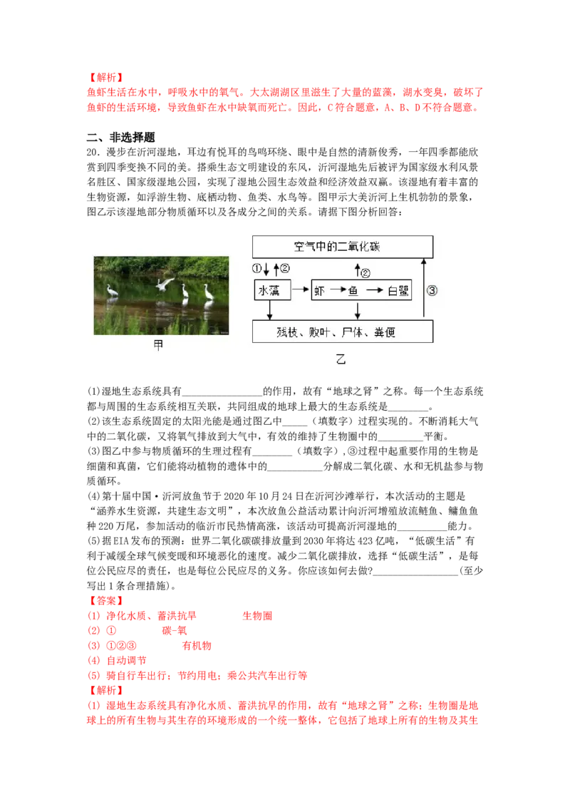 4.7.2探究环境污染对生物的影响-（人教版）（解析版）_初中全科电子版试卷练习试题_生物_生物人教版7下练习_人教生物7年级下课时练习40份
