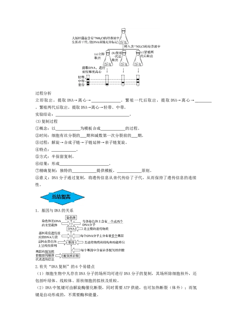 专题18DNA分子的结构、复制及基因的本质（串讲）（原卷版）_新高考复习资料_2024年新高考复习资料_一轮复习资料_完备战2024年高考生物一轮复习串讲精练（新高考专用）_串讲
