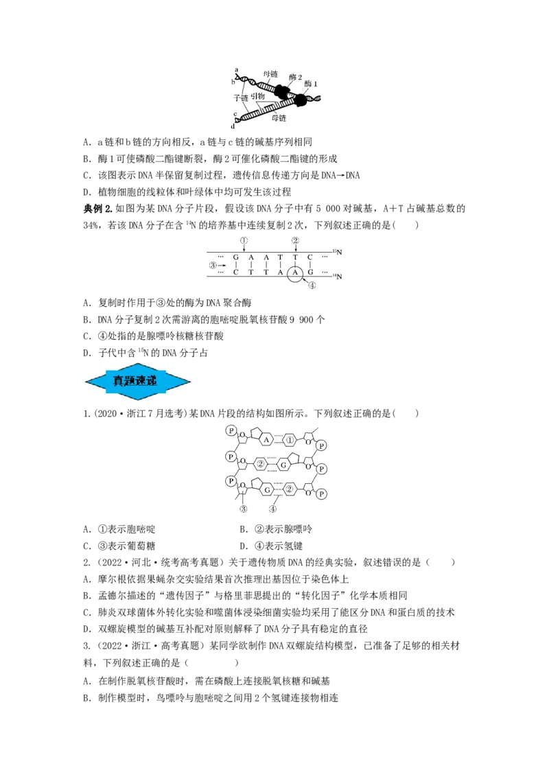 专题18DNA分子的结构、复制及基因的本质（串讲）（原卷版）_新高考复习资料_2024年新高考复习资料_一轮复习资料_完备战2024年高考生物一轮复习串讲精练（新高考专用）_串讲