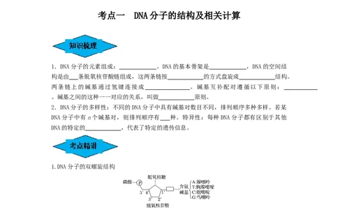 专题18DNA分子的结构、复制及基因的本质（串讲）（原卷版）_新高考复习资料_2024年新高考复习资料_一轮复习资料_完备战2024年高考生物一轮复习串讲精练（新高考专用）_串讲