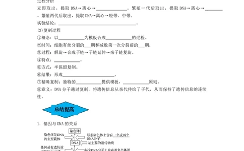 专题18DNA分子的结构、复制及基因的本质（串讲）（原卷版）_新高考复习资料_2024年新高考复习资料_一轮复习资料_完备战2024年高考生物一轮复习串讲精练（新高考专用）_串讲