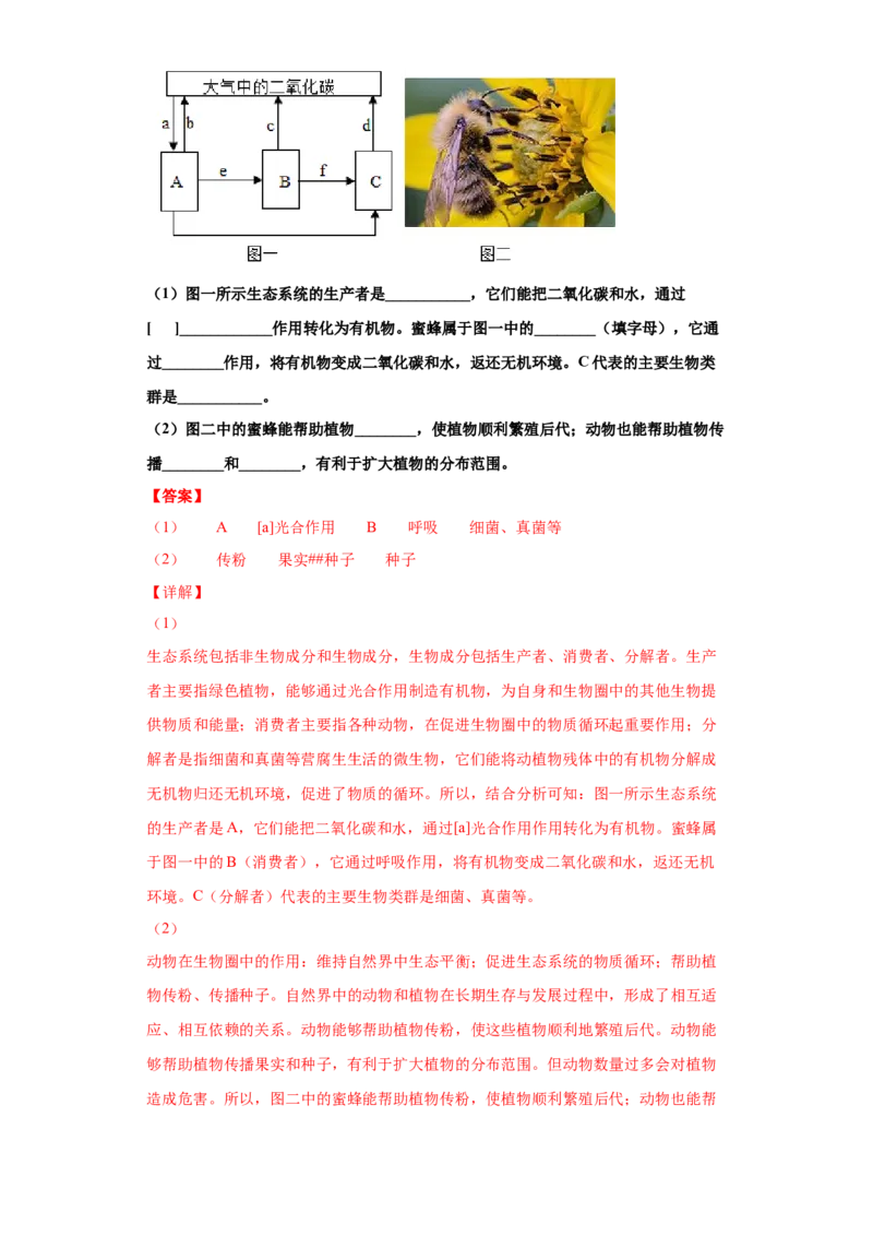 5.3动物在生物圈中的作用（练习）（解析版）_初中全科电子版试卷练习试题_生物_生物8上练习_人教生物8年级上课时练习37份_第1套八年级生物上册课时练习（人教版）16份