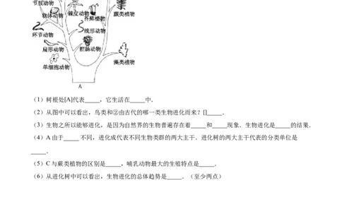7.3.2生物进化的历程（重点练）-（人教版）（原卷版）_初中全科电子版试卷练习试题_生物_生物8下练习_人教生物8年级下课时练习51份
