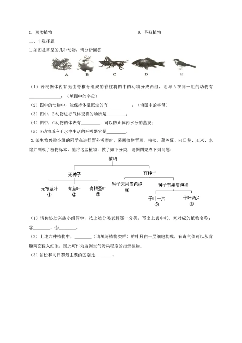 6.1.1.尝试对生物进行分类（备作业）-（人教版）（原卷版）_初中全科电子版试卷练习试题_生物_生物8上练习_人教生物8年级上课时练习37份