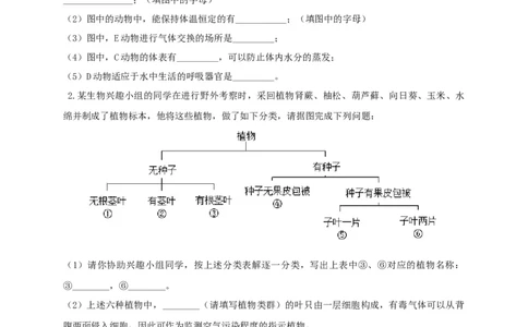 6.1.1.尝试对生物进行分类（备作业）-（人教版）（原卷版）_初中全科电子版试卷练习试题_生物_生物8上练习_人教生物8年级上课时练习37份