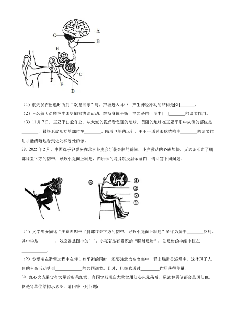 七年级下学期期末生物试题（原卷版）_初中全科电子版试卷练习试题_生物_生物人教版7下练习_人教生物7年级下期末试卷11份