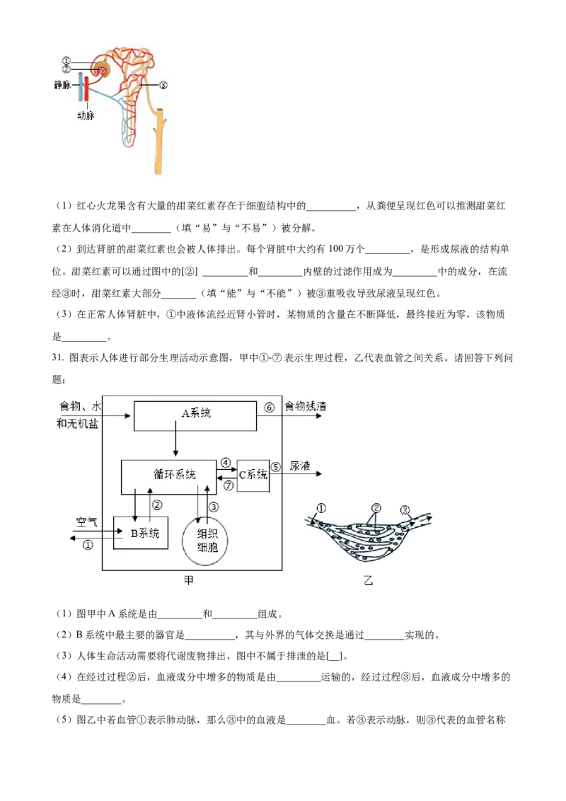 七年级下学期期末生物试题（原卷版）_初中全科电子版试卷练习试题_生物_生物人教版7下练习_人教生物7年级下期末试卷11份