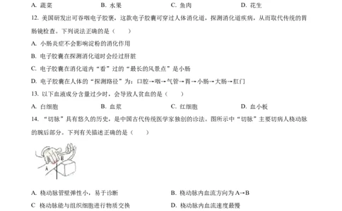 七年级下学期期末生物试题（原卷版）_初中全科电子版试卷练习试题_生物_生物人教版7下练习_人教生物7年级下期末试卷11份