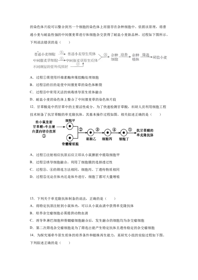专题36细胞工程（学生版）_新高考复习资料_2023年新高考复习资料_二轮复习_增分要点2023高考生物二轮复习专题解读和分层训练291073137_专题36细胞工程
