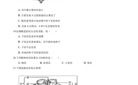 专题3.2.3开花和结果（原卷版）_初中全科电子版试卷练习试题_生物_生物人教版7上练习&mdash;24新版已更新_人教生物7年级上课时练习39份_七年级生物上册课时练习（人教版）18份