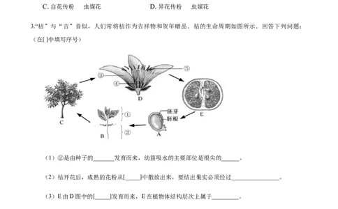 专题3.2.3开花和结果（原卷版）_初中全科电子版试卷练习试题_生物_生物人教版7上练习&mdash;24新版已更新_人教生物7年级上课时练习39份_七年级生物上册课时练习（人教版）18份