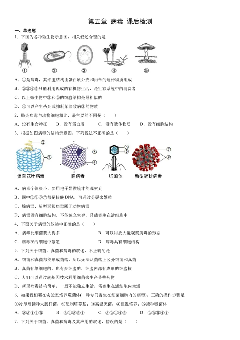 5.5病毒（练习）（原卷版）_初中全科电子版试卷练习试题_生物_生物8上练习_人教生物8年级上课时练习37份_第1套八年级生物上册课时练习（人教版）16份