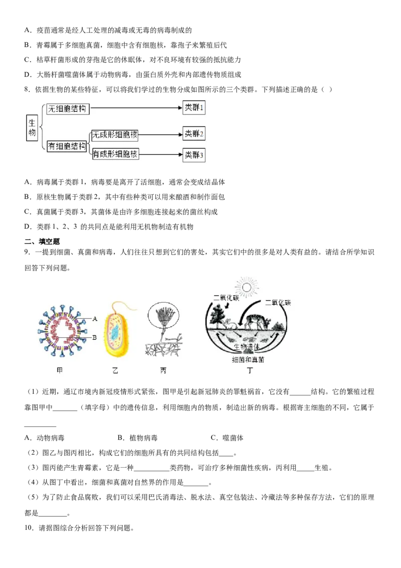 5.5病毒（练习）（原卷版）_初中全科电子版试卷练习试题_生物_生物8上练习_人教生物8年级上课时练习37份_第1套八年级生物上册课时练习（人教版）16份