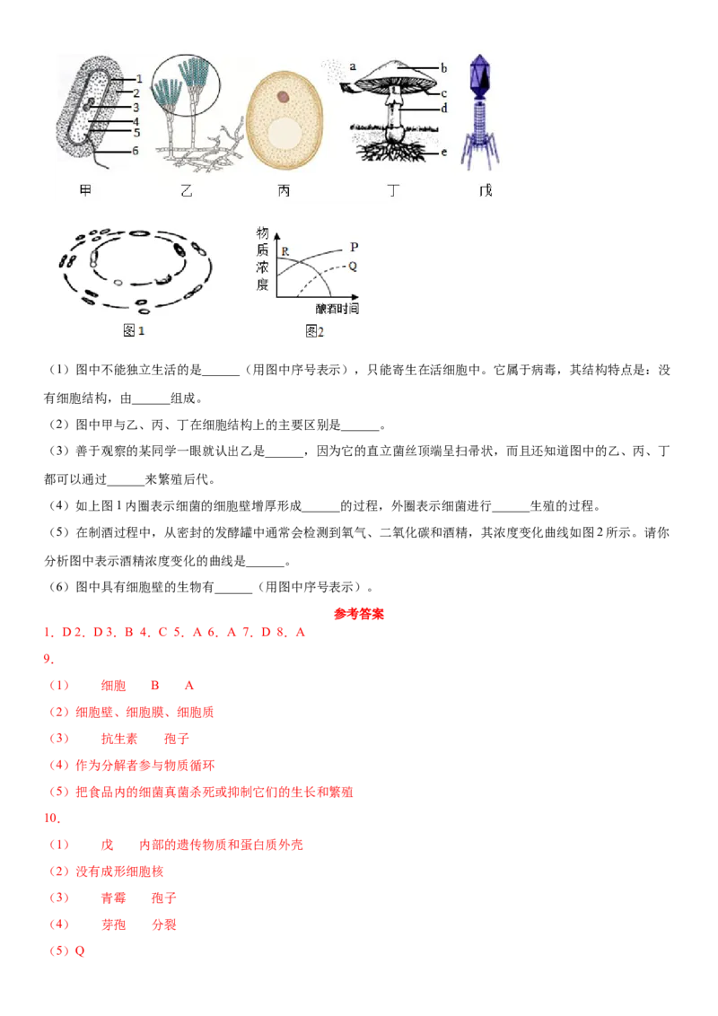 5.5病毒（练习）（原卷版）_初中全科电子版试卷练习试题_生物_生物8上练习_人教生物8年级上课时练习37份_第1套八年级生物上册课时练习（人教版）16份