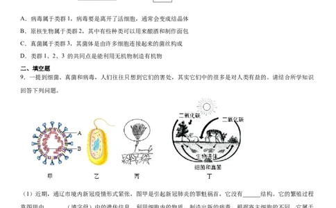 5.5病毒（练习）（原卷版）_初中全科电子版试卷练习试题_生物_生物8上练习_人教生物8年级上课时练习37份_第1套八年级生物上册课时练习（人教版）16份