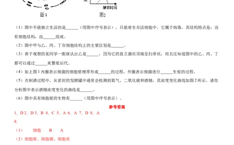 5.5病毒（练习）（原卷版）_初中全科电子版试卷练习试题_生物_生物8上练习_人教生物8年级上课时练习37份_第1套八年级生物上册课时练习（人教版）16份