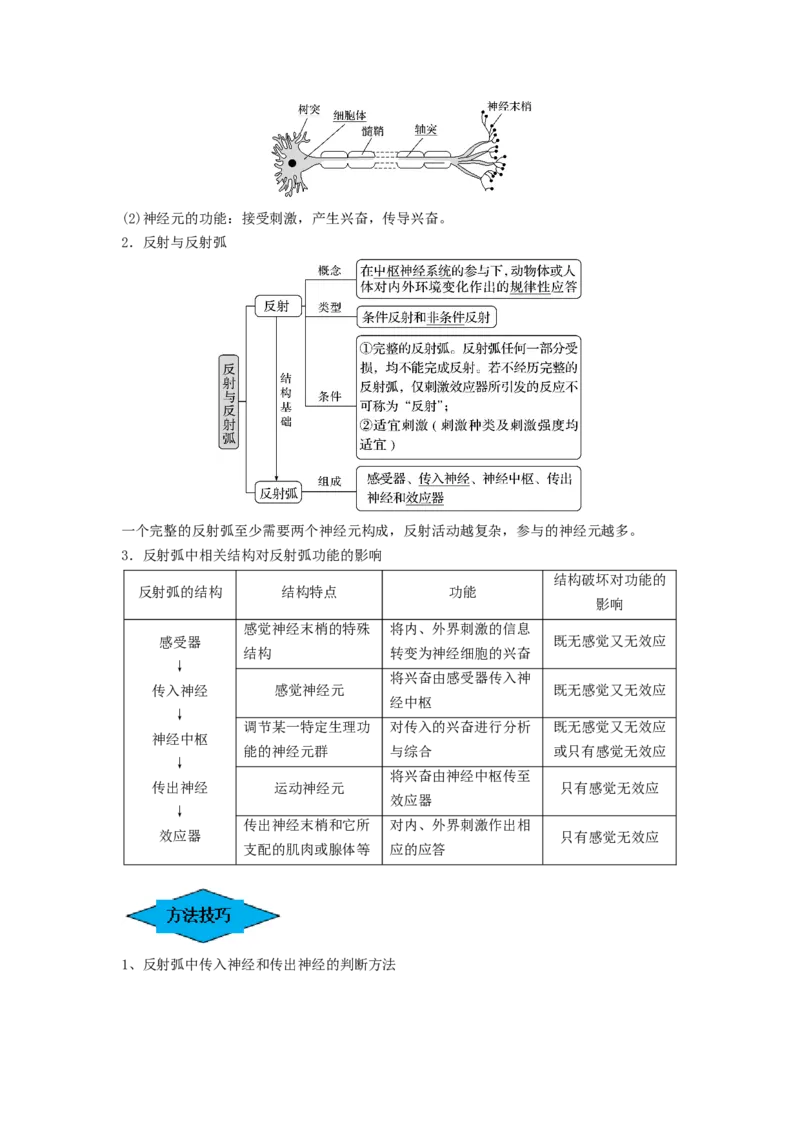 专题24神经调节（串讲）（原卷版）_新高考复习资料_2024年新高考复习资料_一轮复习资料_完备战2024年高考生物一轮复习串讲精练（新高考专用）_串讲