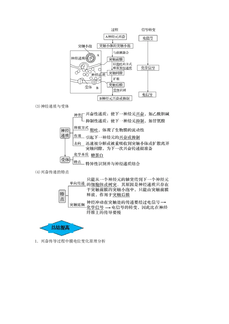 专题24神经调节（串讲）（原卷版）_新高考复习资料_2024年新高考复习资料_一轮复习资料_完备战2024年高考生物一轮复习串讲精练（新高考专用）_串讲