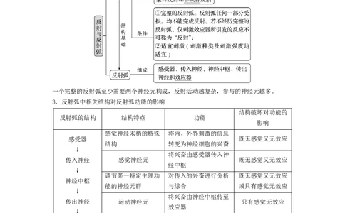 专题24神经调节（串讲）（原卷版）_新高考复习资料_2024年新高考复习资料_一轮复习资料_完备战2024年高考生物一轮复习串讲精练（新高考专用）_串讲