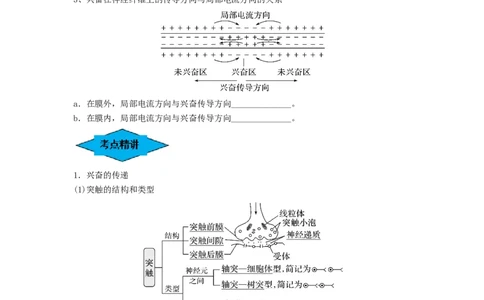专题24神经调节（串讲）（原卷版）_新高考复习资料_2024年新高考复习资料_一轮复习资料_完备战2024年高考生物一轮复习串讲精练（新高考专用）_串讲
