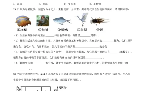 专题07高分突破-（人教版）（原卷版）_初中全科电子版试卷练习试题_生物_生物8上练习_人教生物8年级上专项练习23份_第1套八年级生物上册专项（人教版）09份