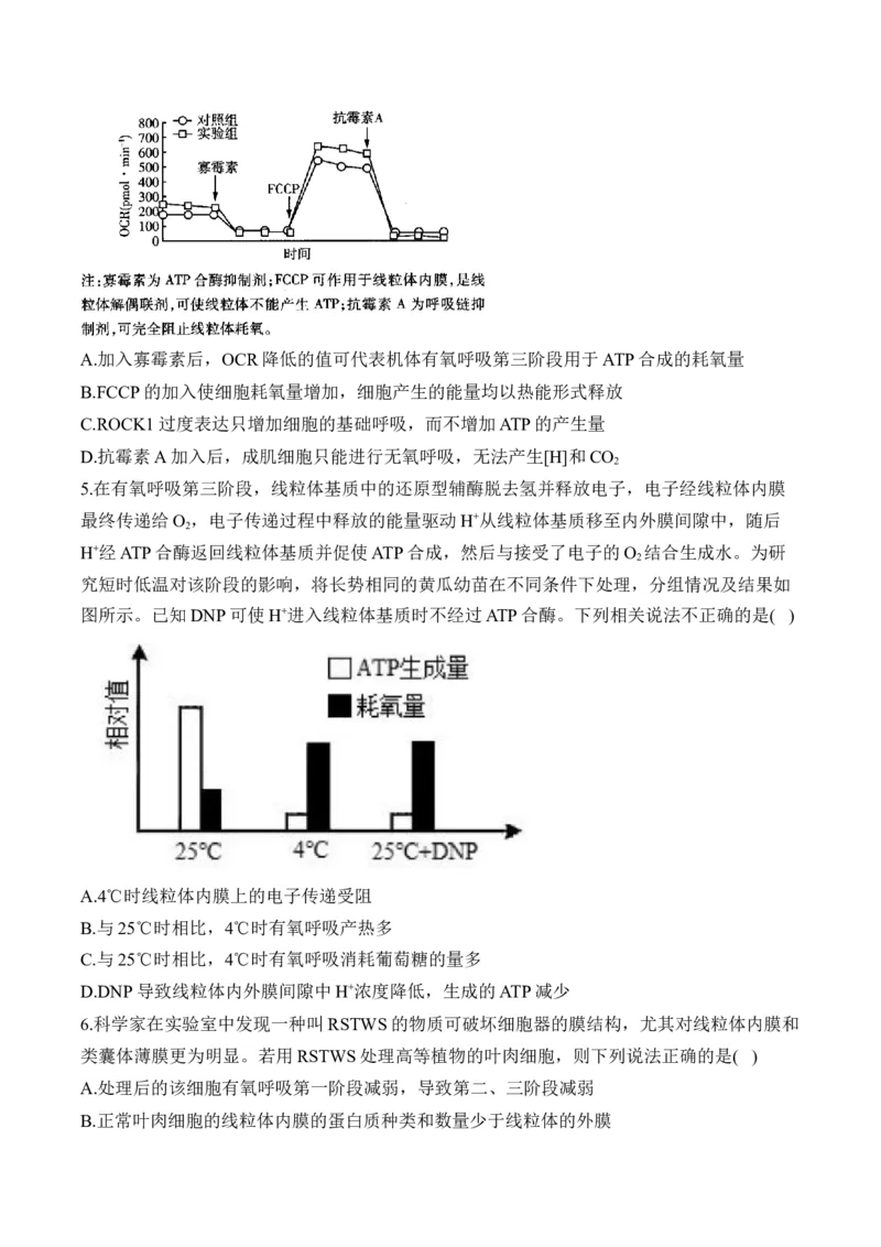 专题3细胞代谢（选择题）&mdash;&mdash;2025届高考生物学模块分练新高考版（含解析）_2025年新高考资料_二轮复习_新高考版2025届高考生物学模块分练选择题与非选择题（含解析）
