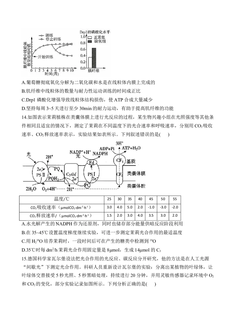 专题3细胞代谢（选择题）&mdash;&mdash;2025届高考生物学模块分练新高考版（含解析）_2025年新高考资料_二轮复习_新高考版2025届高考生物学模块分练选择题与非选择题（含解析）