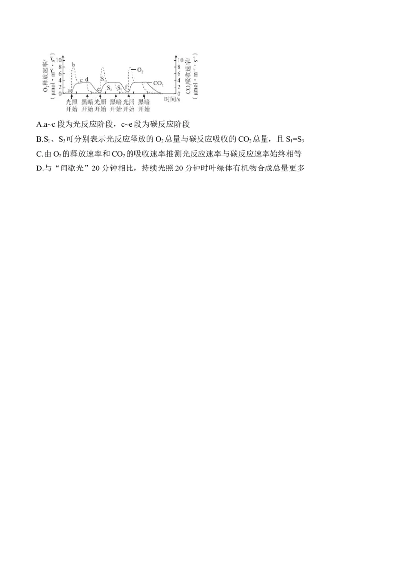 专题3细胞代谢（选择题）&mdash;&mdash;2025届高考生物学模块分练新高考版（含解析）_2025年新高考资料_二轮复习_新高考版2025届高考生物学模块分练选择题与非选择题（含解析）