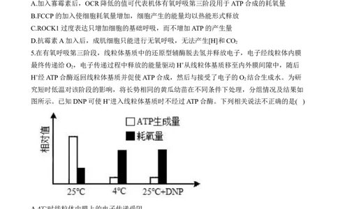 专题3细胞代谢（选择题）&mdash;&mdash;2025届高考生物学模块分练新高考版（含解析）_2025年新高考资料_二轮复习_新高考版2025届高考生物学模块分练选择题与非选择题（含解析）