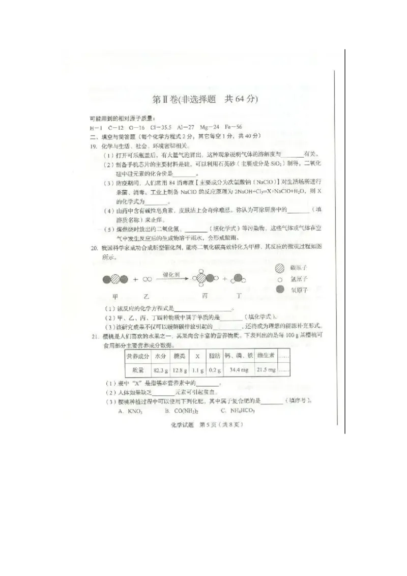 2020山东临沂化学试卷(图片word版)_山东历年中考真题_山东省历年中考真题2013~2024_初中化学历年真题（2013-2024）