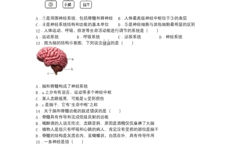 4.6.2神经系统的组成-（人教版）（原卷版）_初中全科电子版试卷练习试题_生物_生物人教版7下练习_人教生物7年级下课时练习40份