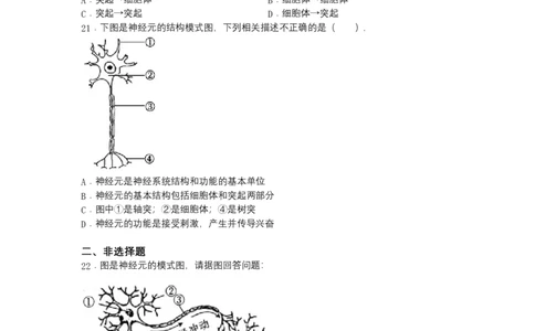 4.6.2神经系统的组成-（人教版）（原卷版）_初中全科电子版试卷练习试题_生物_生物人教版7下练习_人教生物7年级下课时练习40份
