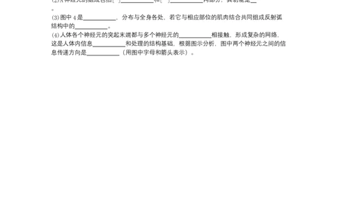 4.6.2神经系统的组成-（人教版）（原卷版）_初中全科电子版试卷练习试题_生物_生物人教版7下练习_人教生物7年级下课时练习40份
