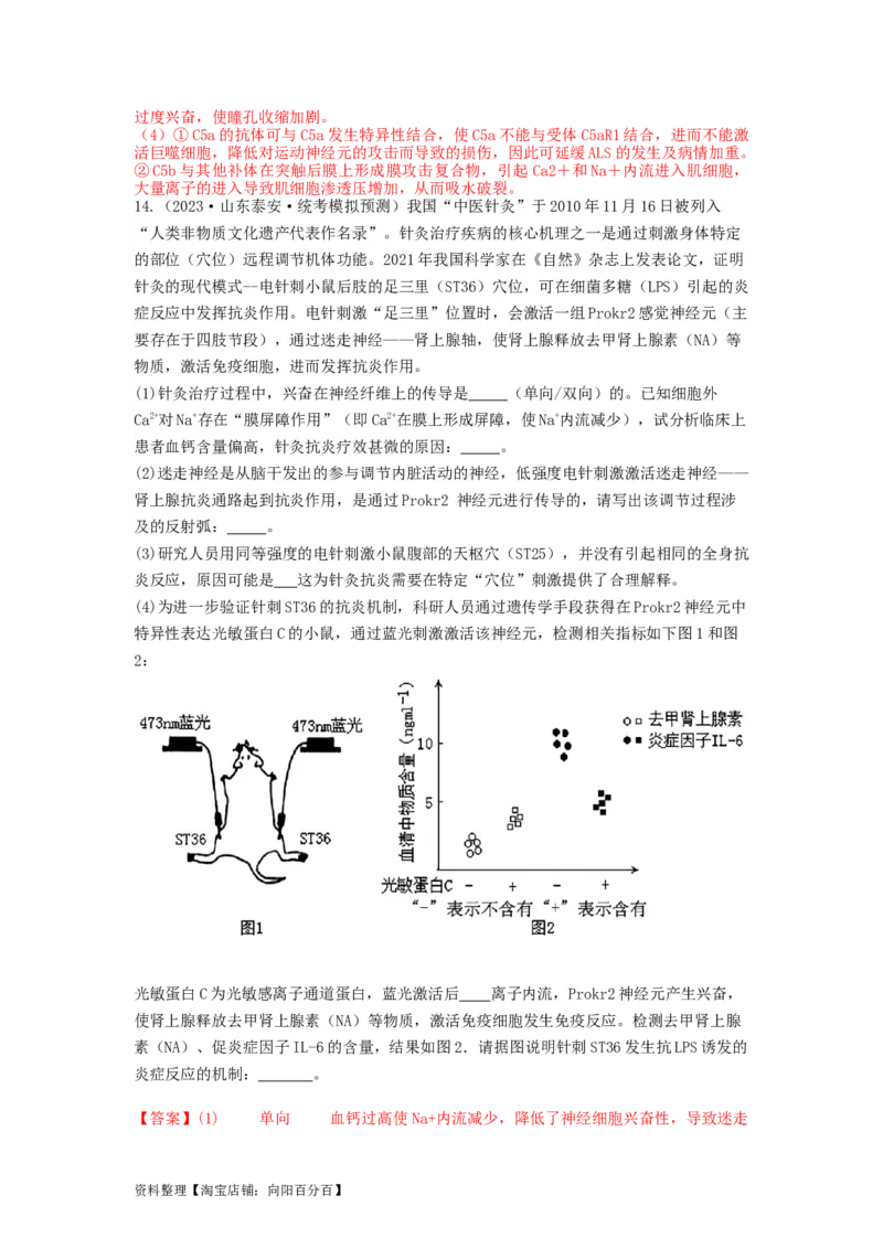 专题24神经调节（精练）（解析版）_新高考复习资料_2024年新高考复习资料_一轮复习资料_完备战2024年高考生物一轮复习串讲精练（新高考专用）_精练_解析版