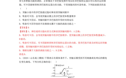 专题24神经调节（精练）（解析版）_新高考复习资料_2024年新高考复习资料_一轮复习资料_完备战2024年高考生物一轮复习串讲精练（新高考专用）_精练_解析版