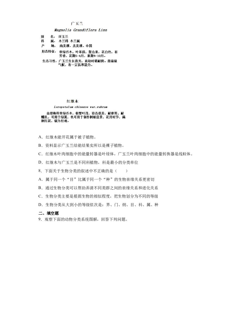 6.1.2从种到界（练习）（原卷版）_初中全科电子版试卷练习试题_生物_生物8上练习_人教生物8年级上课时练习37份_第1套八年级生物上册课时练习（人教版）16份