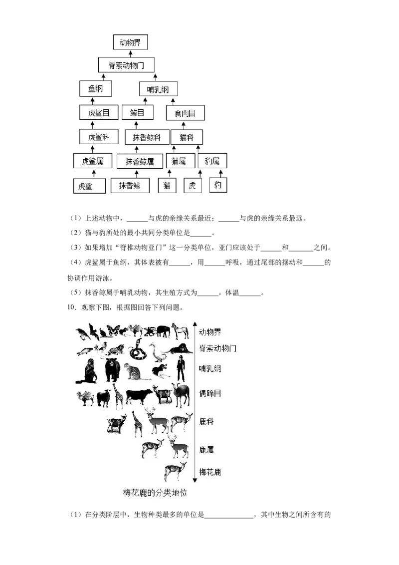 6.1.2从种到界（练习）（原卷版）_初中全科电子版试卷练习试题_生物_生物8上练习_人教生物8年级上课时练习37份_第1套八年级生物上册课时练习（人教版）16份