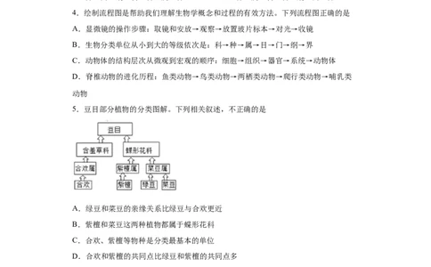 6.1.2从种到界（练习）（原卷版）_初中全科电子版试卷练习试题_生物_生物8上练习_人教生物8年级上课时练习37份_第1套八年级生物上册课时练习（人教版）16份