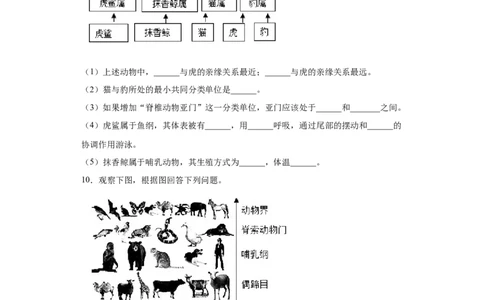 6.1.2从种到界（练习）（原卷版）_初中全科电子版试卷练习试题_生物_生物8上练习_人教生物8年级上课时练习37份_第1套八年级生物上册课时练习（人教版）16份