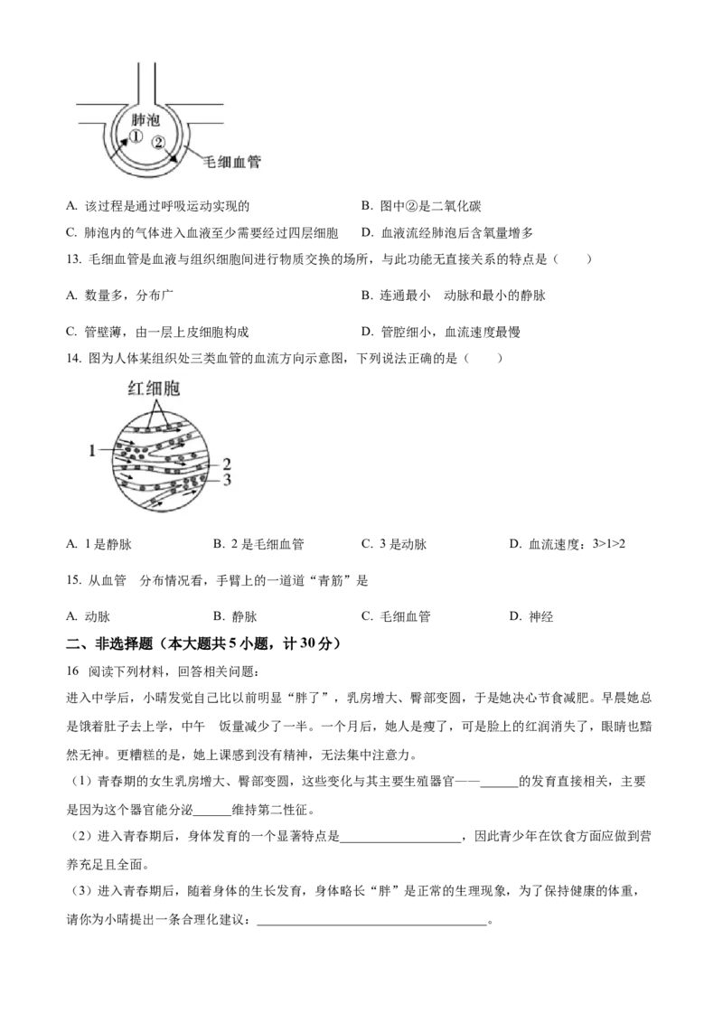 1七年级下学期期中生物试题（原卷版）_初中全科电子版试卷练习试题_生物_生物人教版7下练习_人教生物7年级下期中试卷07份