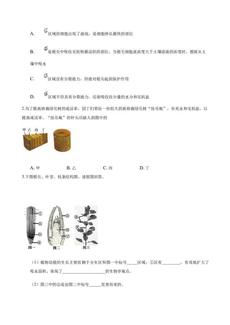 专题3.2.2植株的生长（原卷版）_初中全科电子版试卷练习试题_生物_生物人教版7上练习&mdash;24新版已更新_人教生物7年级上课时练习39份_七年级生物上册课时练习（人教版）18份