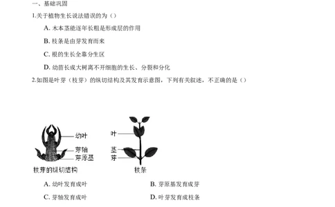 专题3.2.2植株的生长（原卷版）_初中全科电子版试卷练习试题_生物_生物人教版7上练习&mdash;24新版已更新_人教生物7年级上课时练习39份_七年级生物上册课时练习（人教版）18份