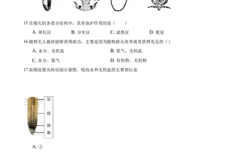 专题3.2.2植株的生长（原卷版）_初中全科电子版试卷练习试题_生物_生物人教版7上练习&mdash;24新版已更新_人教生物7年级上课时练习39份_七年级生物上册课时练习（人教版）18份