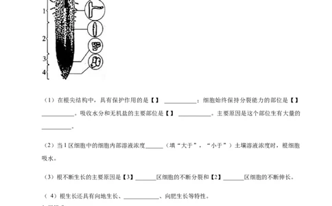 专题3.2.2植株的生长（原卷版）_初中全科电子版试卷练习试题_生物_生物人教版7上练习&mdash;24新版已更新_人教生物7年级上课时练习39份_七年级生物上册课时练习（人教版）18份