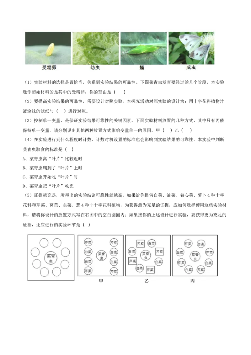 7.1.2昆虫的生殖和发育（重点练）-（人教版）（原卷版）_初中全科电子版试卷练习试题_生物_生物8下练习_人教生物8年级下课时练习51份