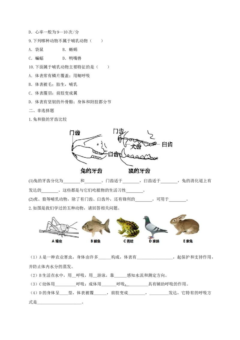 5.1.7哺乳动物（备作业）-（人教版）（原卷版）_初中全科电子版试卷练习试题_生物_生物8上练习_人教生物8年级上课时练习37份_第2套八年级生物上册课时练习（人教版）21份