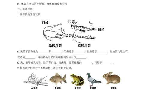 5.1.7哺乳动物（备作业）-（人教版）（原卷版）_初中全科电子版试卷练习试题_生物_生物8上练习_人教生物8年级上课时练习37份_第2套八年级生物上册课时练习（人教版）21份