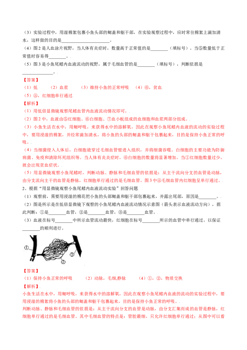 4.4.2血流的管道&mdash;血管（解析版）_初中全科电子版试卷练习试题_生物_生物人教版7下练习_人教生物7年级下课时练习40份_第2套七年级生物下册课时练习（人教版）20份